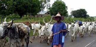 Twelve injured in farmer-herder clash in Warawa, Kano LG