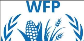 WFP: Northern Nigeria hunger crisis hits nine-year high as 17m face acute food insecurity