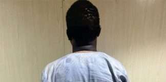 Two senior terror commanders surrender to troops in Borno
