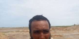 Troops arrest foreign ISIS-linked operative in Borno