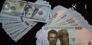 Naira depreciates, trades N1,379/$ at official market