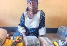 Troops intercept terror drug courier in Borno