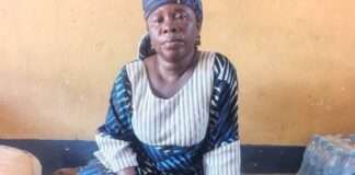 Troops intercept terror drug courier in Borno