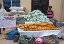 NDLEA intercepts 1.63 million tramadol pills, arrests 80-year-old grandpa in nationwide raids