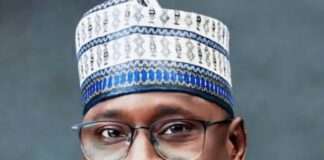 Nigeria’s $2bn renewable energy investment yields only 76,000 jobs, REA flags local capacity gap