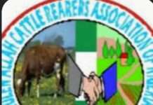 KACRAN condemns Kaduna killings, seeks adoption of National Peace Roadmap