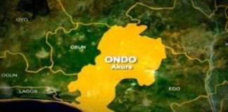 Ondo: Police arrest three suspected drug dealers, recover illicit substances