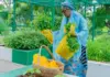 Oluremi Tinubu harvests vegetables from Villa, calls for home gardening