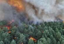 Fire in Fontainebleau forest near Paris triggers evacuations; 10 still missing in Spanish wildfire