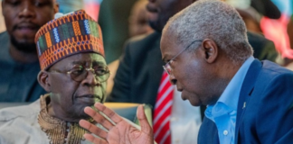 I advise Tinubu privately, not on television — Fashola