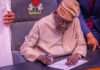 FG exceeds 2024 borrowing target by N4.79trn as revenue falls short