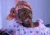 African parents inspire most of my comedy — Taooma