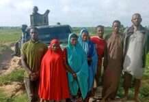 Troops rescue nine kidnap victims, recover 56 livestock in Katsina
