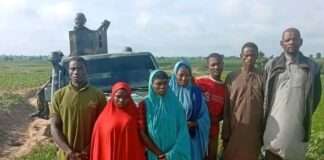 Troops rescue nine kidnap victims, recover 56 livestock in Katsina