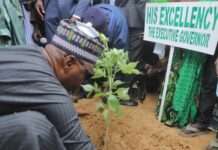 Zulum unveils free gas cylinders for 23,700 teachers, environmental vanguards as Borno launches 4m-tree campaign