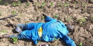 Troops foil terrorist attacks in Zamfara, Katsina, kill notorious commander