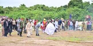 NDLEA Destroys N301bn Drugs, Vows to Cripple Cartels’ Financial Networks
