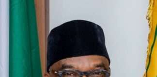FG: Diaspora, Strategic Partnerships Critical to Nigeria’s Security, Prosperity