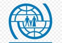 Migration Routes Grow Deadlier Despite Sharp Drop in Arrivals – IOM