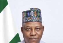 Reject ethnic profiling, religious hatred, Shettima urges Nigerians