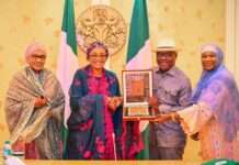 Tinubu applauds Wike’s Abuja makeover, urges states to embrace green projects