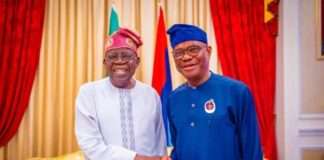 Tinubu, Wike, Akume listed as PFIPC board members, Reps raise questions