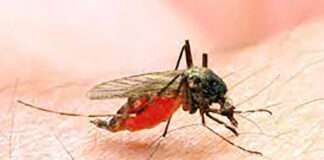 Benue earmarks N294.5m to fight malaria