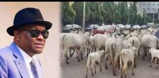Nyesom Wike’s Perfidious FCT And The Fulani Oligachs, By Oto’ Drama, PhD