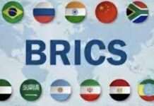 Deepening South-South Ties: Nigeria Pitches Industrial Investment Opportunities at BRICS Export Express in Xiamen
