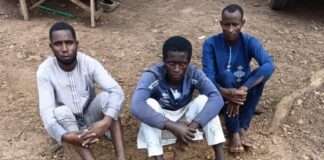 Troops arrest three terrorist collaborators, destroy enclaves