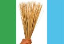 We Are Studying Osun Election Results — APC