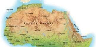 Stakeholders urge African governments to act as witchcraft accusations fuel violence, social exclusion
