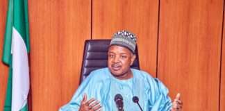 FG woos Austrian investors, says Nigeria offers over 20% dollar returns