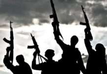 Bandits kill KADVS personnel, abduct Kaduna lawmaker’s brother