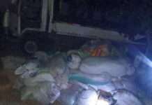 Troops intercept terrorist supplier with motorcycles, 450 litres of fuel