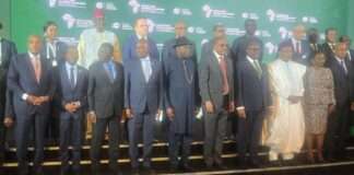 Jonathan urges African leaders to turn farm pledges into action