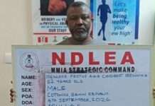 NDLEA nabs fugitive kingpin after two years on run